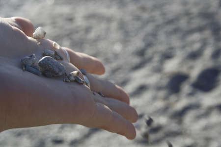 Pebbles in hand 