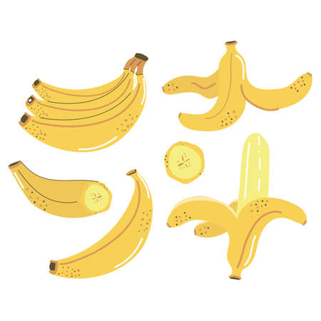 Set of hand drawn yellow bananas, slice, peeled banana. Flat vector illustration.のイラスト素材