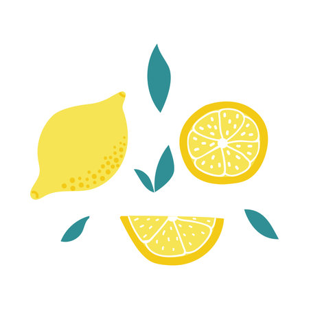 Set of hand drawn lemon, slice and leaves. Flat illustration.のイラスト素材