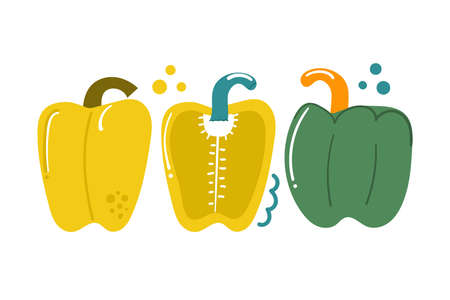 Hand drawn sweet bell pepper, bulgarian pepper, paprika. Vegetable concept. Flat illustration.のイラスト素材