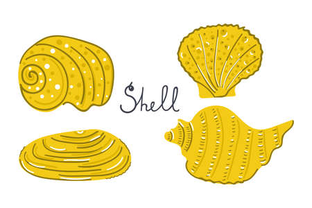 Set of hand drawn sea shells. Modern flat illustration.のイラスト素材