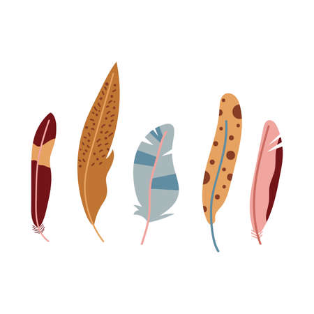 Set of hand drawn feathers in boho design. Flat illustration.のイラスト素材