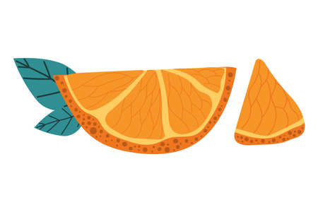 Hand drawn slice of orange with modern leaves. Summer concept. Flat illustration.のイラスト素材