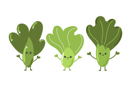 Set of cute Bok choy salad, cabbage, delicious vegetable. Modern flat illustration.のイラスト素材