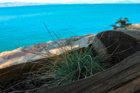 View of the sea from the top of a wooden bench with grassの写真素材