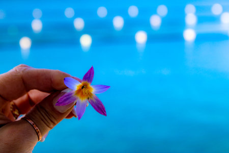 Crocus flower in hand on the background of the sea . Spring seasonの写真素材