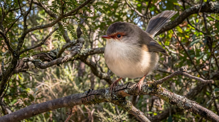 Close up of a small bird perched on a mossy tree branch in a forest