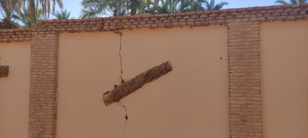 Palm tree trunk embedded in the wall Tozeur Tunisia 2023の写真素材
