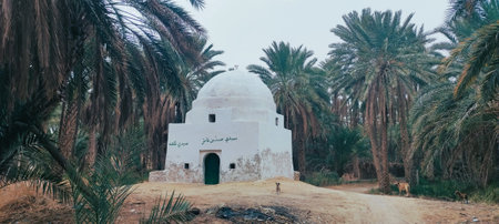 An ancient mosque in an abandoned city in Tunisiaの写真素材