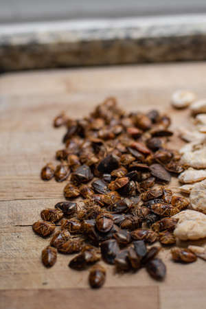 Edible Mexican Insects cooked on a tableの写真素材
