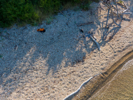 Aerial view of a rocky beach with driftwood and an object.の写真素材