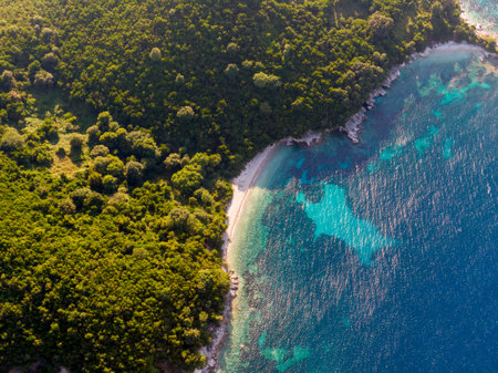 Aerial view of turquoise waters meeting a lush green coastline.