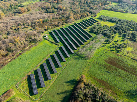Aerial view of solar panels in a green field.