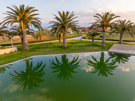 Palm trees are reflected in the still pool of water in a lush green tropical garden landscape.