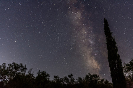 A breathtaking view of the Milky Way galaxy stretching across a dark, starry night sky, with silhouetted trees in the foreground.の写真素材