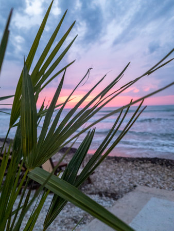 Palm fronds frame a vivid pink and purple sunset over a calm, wave-lapped beach, serene and peaceful.の写真素材
