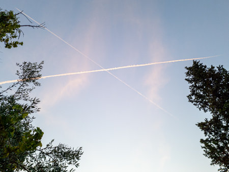 A tranquil skyscape features intersecting contrails framed by leafy trees, evoking peaceful contemplation.の写真素材