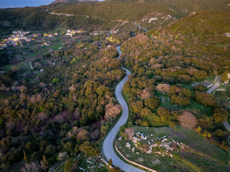 Winding road stretching through dense forest, connecting a quaint village with the mountains beyond.の写真素材