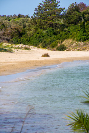A serene coastline with sandy beaches meeting clear turquoise waters and lush green vegetation...