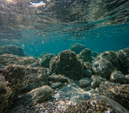 Underwater view reveals rocks and stones beneath the surface, showcasing the serene marine...