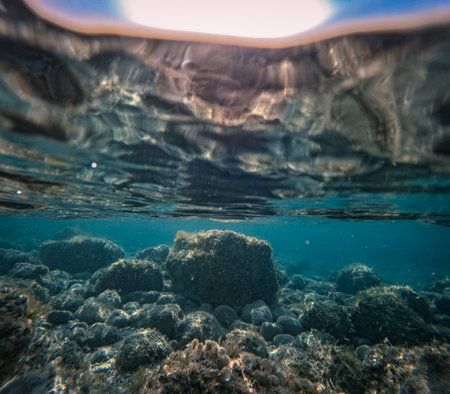 Underwater view of rocks and algae with sunlight refracted on the water's surface creating patterns.の写真素材