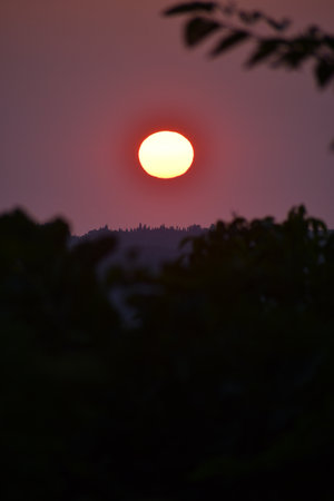 The golden sun sets over hazy hills in the Greek countryside. A silhouette of a native olive tree stands in the foreground, creating a peaceful and classic Mediterranean autumn scene.の写真素材
