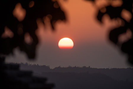 The setting sun creates a warm orange glow in the evening sky, partially obscured by the dark silhouette of tree leaves. A tranquil, atmospheric, and peaceful nature background.の写真素材