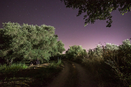 A rustic dirt road winds through an ancient olive grove under a vivid purple night sky in rural Greece. The magical scene is illuminated by the ambient glow of distant city lightsの写真素材