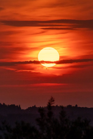 A bird flies freely in front of a giant setting sun, creating a powerful silhouette against a dramatic orange and red sky. A symbol of freedom, hope, and nature's beauty at duskの写真素材