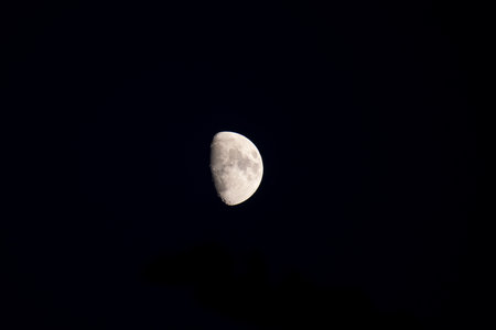 A crisp and detailed telephoto close-up of the first quarter moon, showcasing its craters and texture, isolated against the vast, pitch-black canvas of the night skyの写真素材