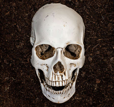 Looking at the sea, with the sun appearing among the cloudsの写真素材