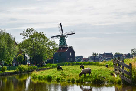 ZAANSE SCHANS, NETHERLANDS, JUNE 19, 2016: Landscape view of the beautiful windmills in Zaanse Schans, Netherlands on June 19, 2016.のeditorial素材