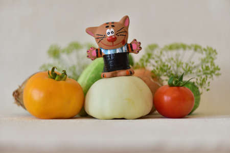 Composition with vegetables and catの写真素材