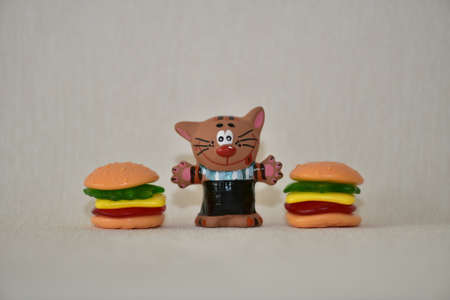 The cat chooses foodの写真素材