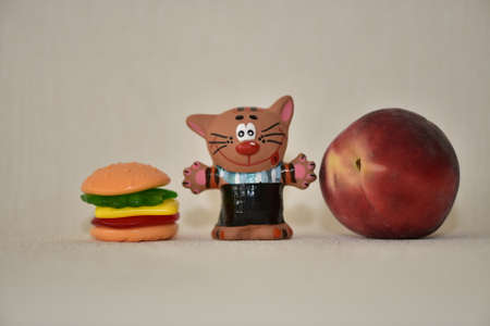 Fruits and catの写真素材