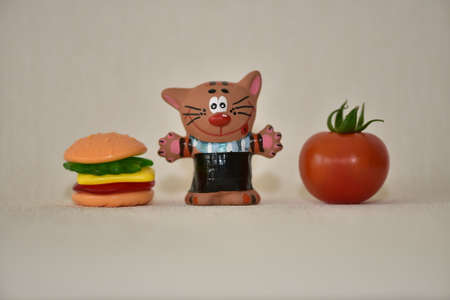 Vegetables and catの写真素材