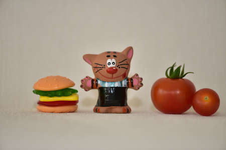 Vegetables and catの写真素材