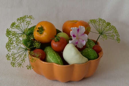 Vegetable composition. Variety of vegetables.の写真素材