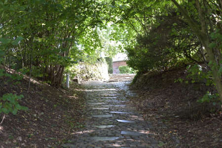 Exit to the village from the forestの写真素材