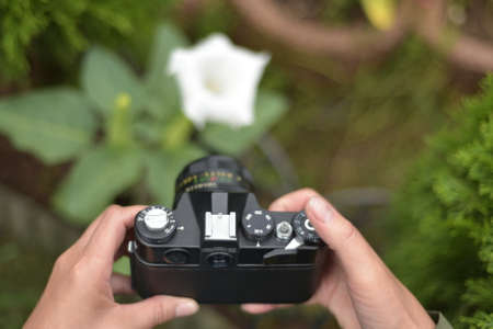 Taking pictures in the gardenの写真素材