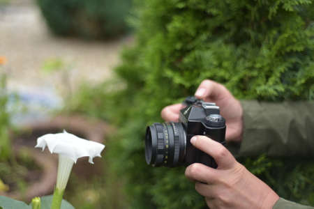 Photograph from close rangeの写真素材