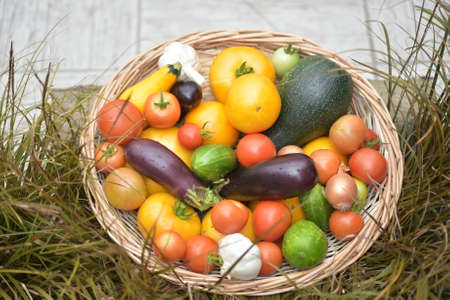 Basket of vegetables on the grassの写真素材