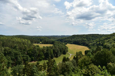 Woodland sceneryの写真素材