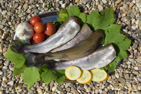 Raw trout on a plateの写真素材