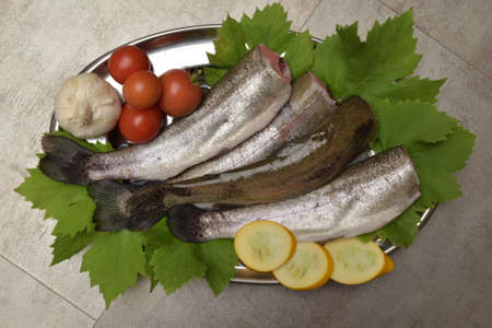 Preparation of raw fish for fryingの写真素材