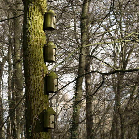Close up of four nesting boxes made of concrete in a forest.の写真素材