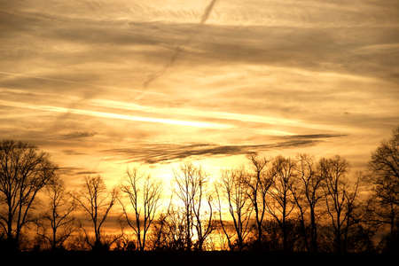 Evening sun through the trees behind a dam on the Rhineの写真素材