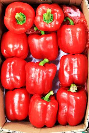 vegetableの写真素材