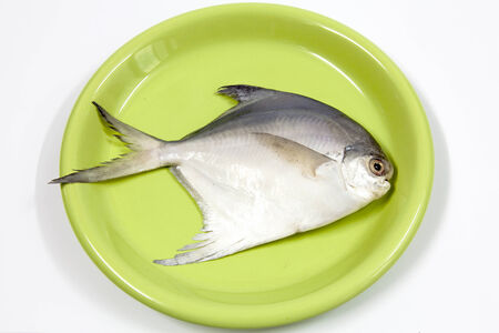 fish in dishの写真素材