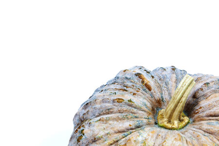 pumpkin is a wonderful color and nice の写真素材